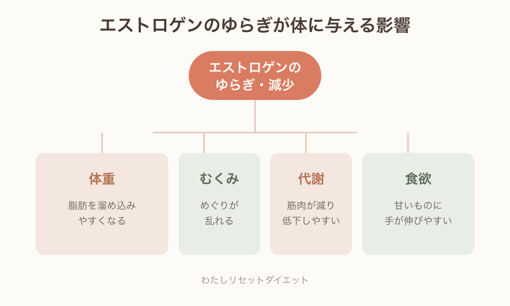 エストロゲンの変化が体に与える影響の図解